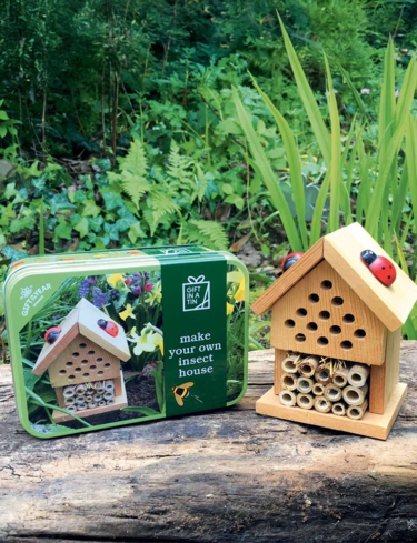 Insect House Gift In A Tin