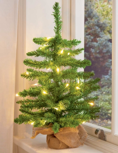 24 Inch Christmas Tree